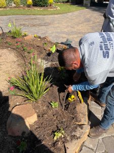 Pflugerville Sprinkler Repair Tech