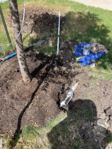 Irrigation Repair Pflugerville